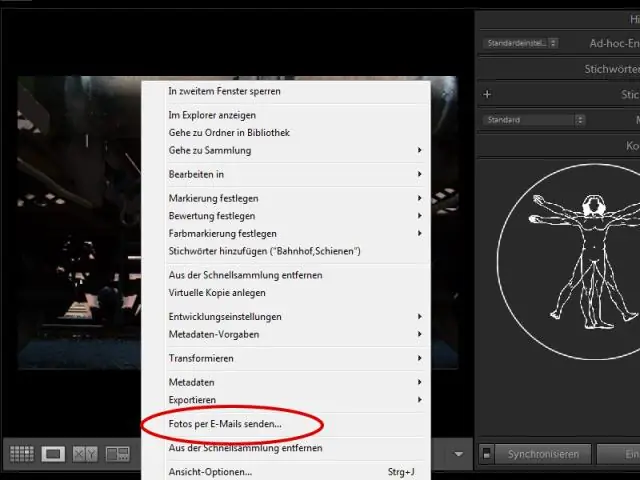 Bagaimana cara mengirim email foto dari Lightroom CC?