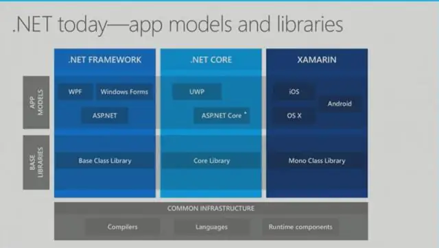 Quale software esegue asp net?