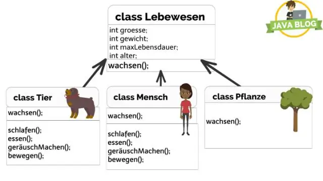 Welche Datenbank eignet sich am besten für Java?