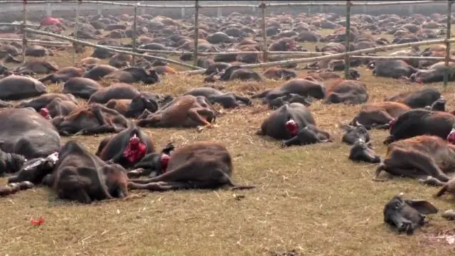 Kas ir trešās puses sīkfaili?