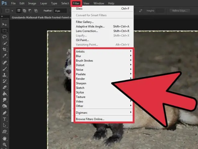 ฟิลเตอร์ใน Photoshop อยู่ที่ไหน