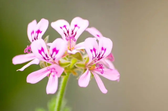 কখন একটি পদ্ধতি স্ট্যাটিক হওয়া উচিত?