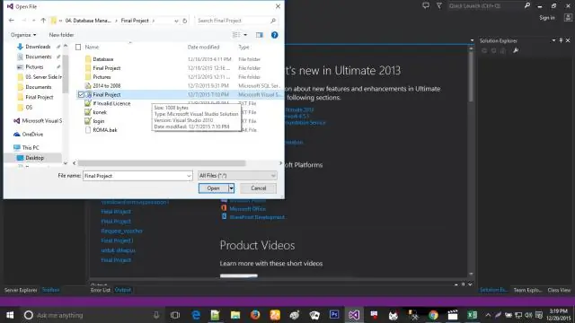 Kaj je lupina Visual Studio 2010?