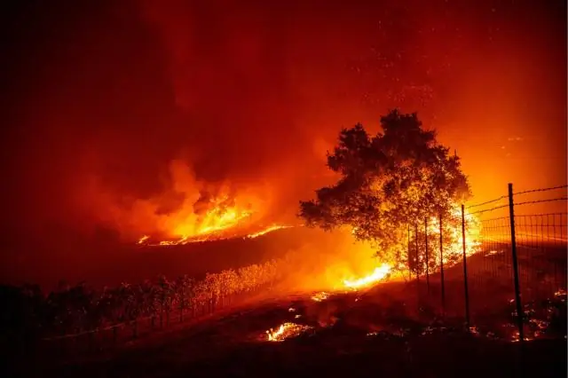 A do të mbyllë PG&E energjinë në San Francisko?