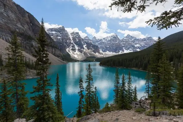 Posso chiamare il Canada dagli Stati Uniti?