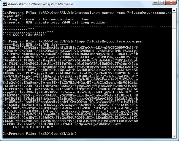 Hvordan opretter jeg en pkcs12-fil ved hjælp af OpenSSL?