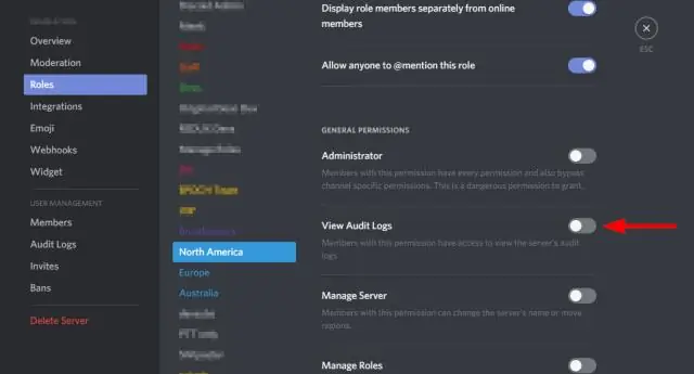 Mi az a discord audit napló?