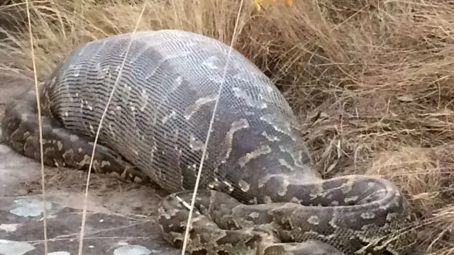 Czy Python jest dobry dla ETL?