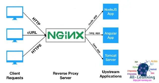 Тескери прокси nginx деген эмне?