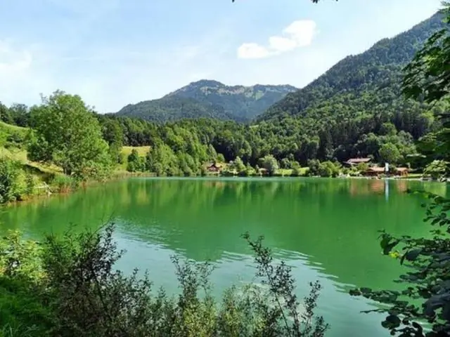 Πώς μπορώ να δημιουργήσω ένα ζωντανό πρότυπο στο IntelliJ;