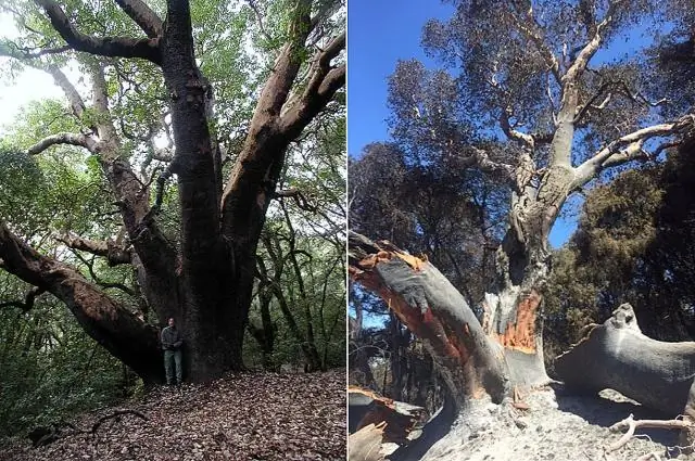 Πώς μπορώ να δώσω άδεια ανάγνωσης/εγγραφής στο Linux;