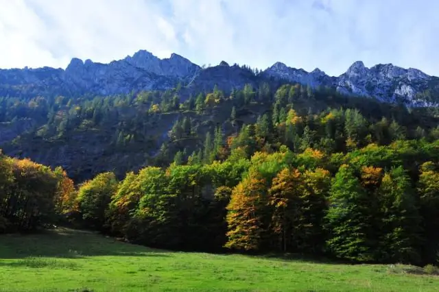 Məlumat domenini necə gücləndirirsiniz?