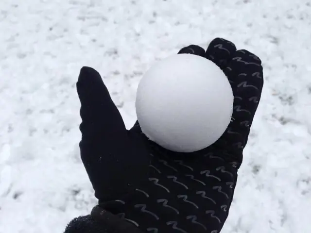 ¿Qué es un ejemplo de muestreo de bola de nieve?