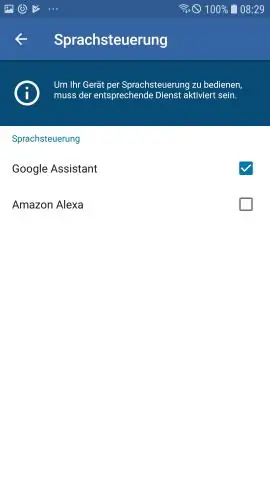 Wie füge ich Dienste zu Google Assistant hinzu?