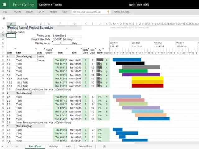 Quin programari s'utilitza per fer un diagrama de Gantt?