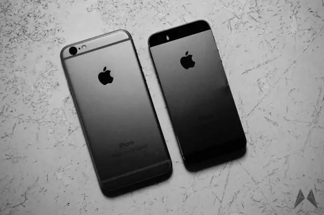 Puoi avere 2 impronte digitali su iPhone 6?