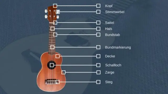 Cosa significa didascalia nell'accesso?