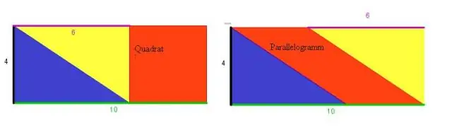 Aling mga parallelogram ang may mga dayagonal na naghahati-hati sa isa't isa?