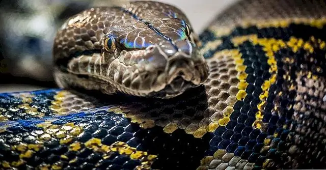 Njia ya Python OS ni nini?