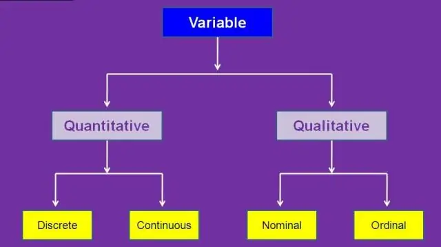 Wat zijn kwantitatieve en kwalitatieve variabelen?