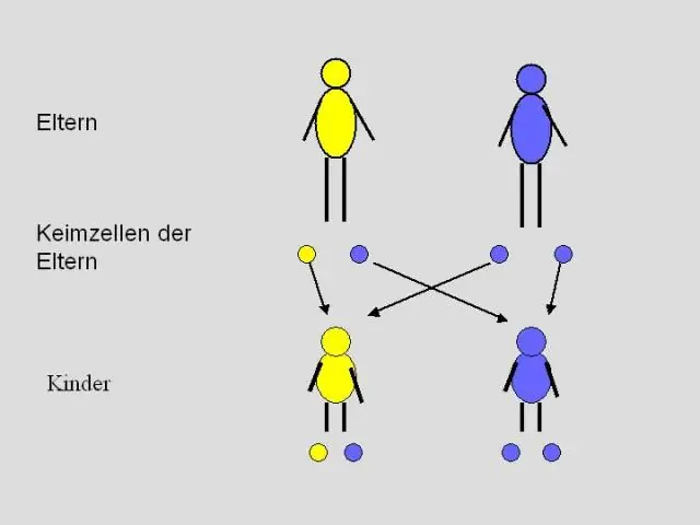 Wat is oorgeërfde kontroles?