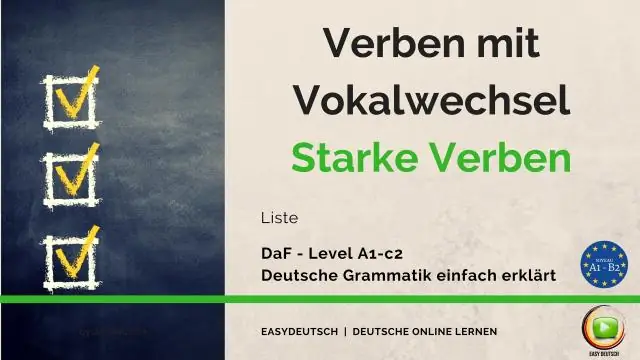 ¿Todos los idiomas tienen sustantivos y verbos?