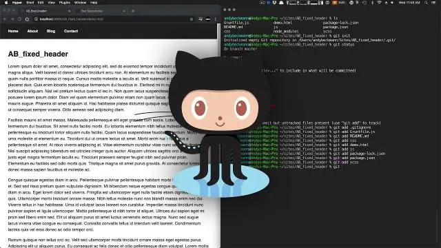 Hvordan skubber jeg et projekt til Github?