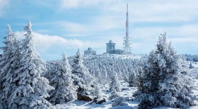 Какво е непрозрачна стойност?