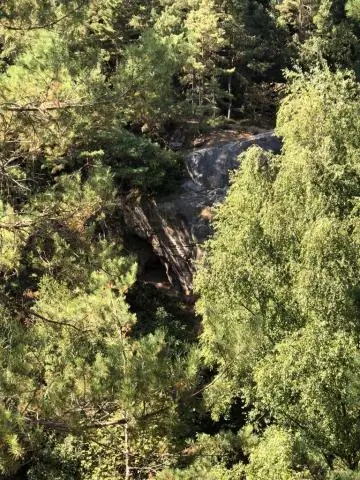 Comment faire un arbre de décision dans R ?