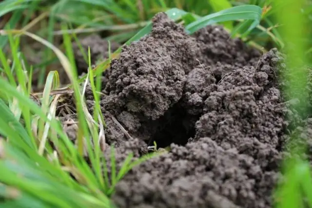 Kakšna je podobnost in kakšna je razlika med releji in PLC-jem?