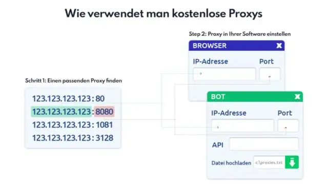 هل تحتوي مواقع الويب على عناوين IP؟