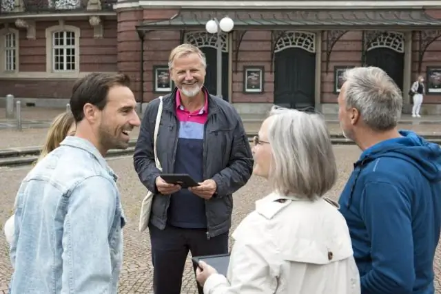 Vilken typ av videofiler spelas upp på iPad?