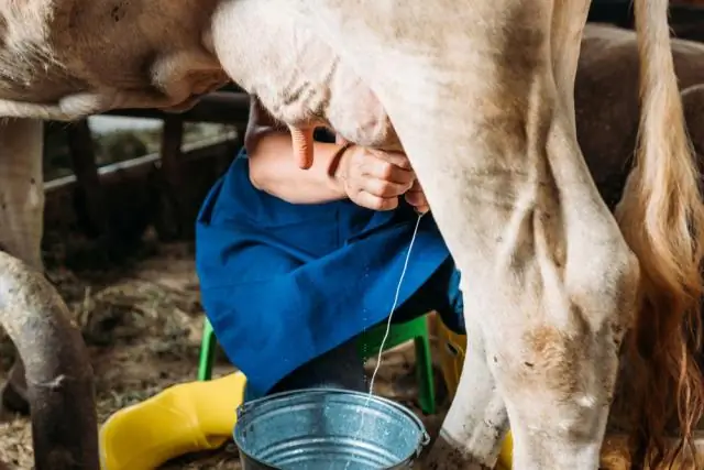 İnsanlar hansı prefiks deməkdir?